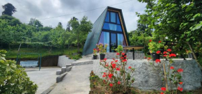 Daiana Green House